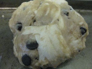 Biscuit cookie: 1