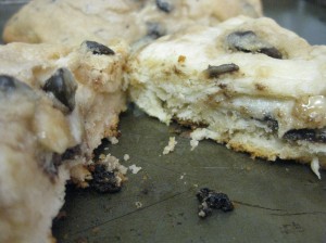 Half biscuit + half cookie baked